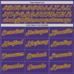 Custom20Purple20Purple20Gold20Performance20T20Shirt200001.jpg